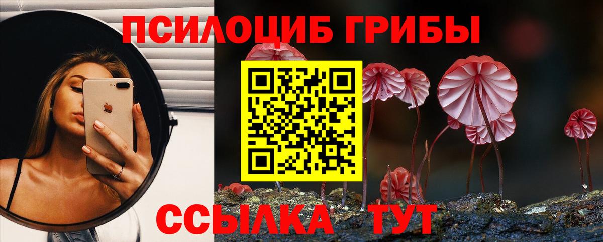 Псилоцибиновые грибы Magic Shrooms Нижнеудинск