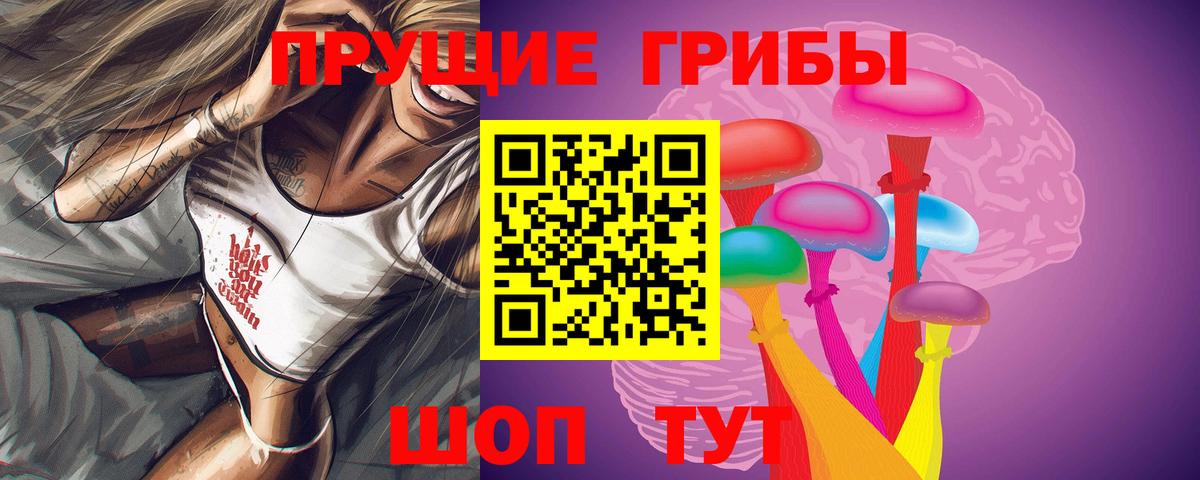 Псилоцибиновые грибы MAGIC MUSHROOMS  Вход с VPN  Нижнеудинск  Галлюциногенные грибы Psilocybine cubensis 